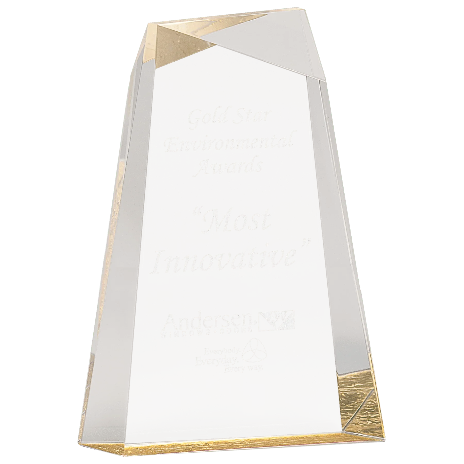 Facet Wedge Acrylic Award