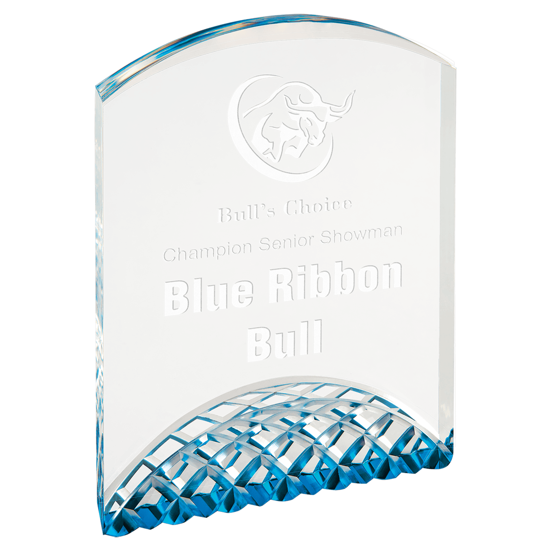 Horizon Acrylic Award