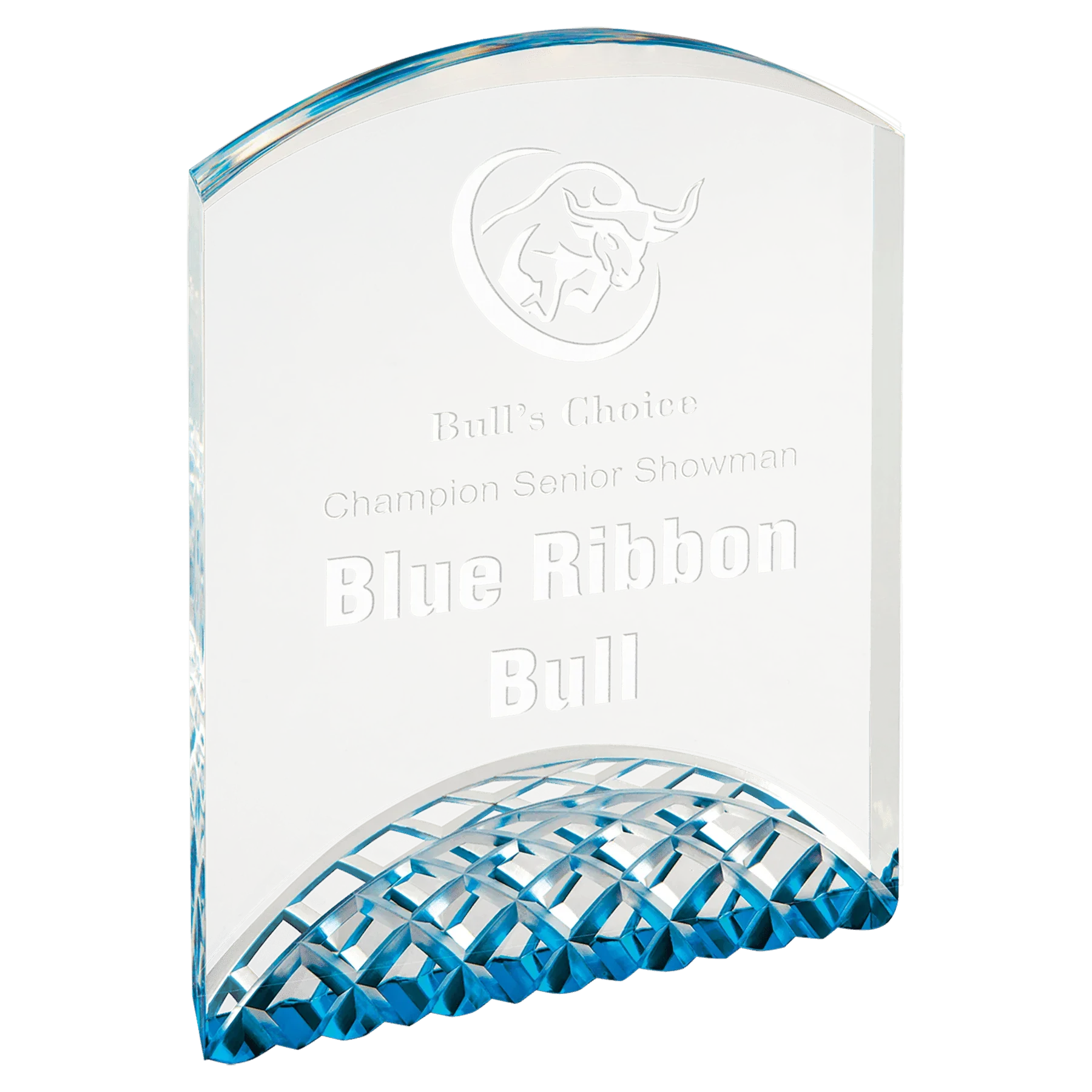 Horizon Acrylic Award