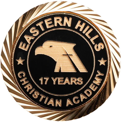 Custom Large Round Lapel Pin - awardshere.com