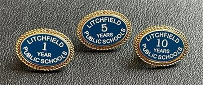 Custom Oval Lapel Pin