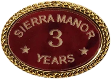 Custom Oval Lapel Pin