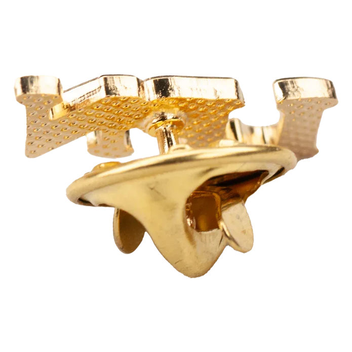 LPN Lapel Pin - awardshere.com