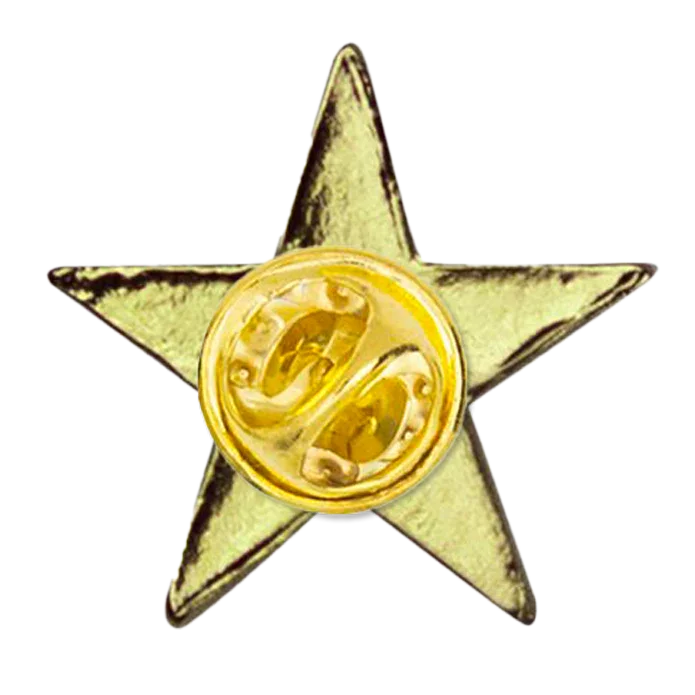 Small Gold Star Pin - awardshere.com