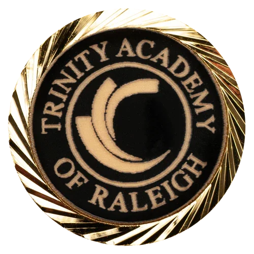 Custom Round Lapel Pin - awardshere.com