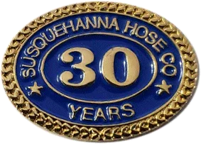 Custom Enamel Years of Service Pins - awardshere.com