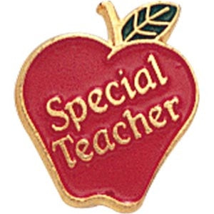 Special Teacher Pin