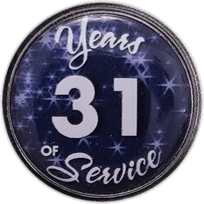 31 Years Silver and Blue Stars Years of Service Pin, Choose Post/Clutch or Magnet Back - awardshere.com