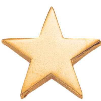 Gold Smooth Star Lapel Pin