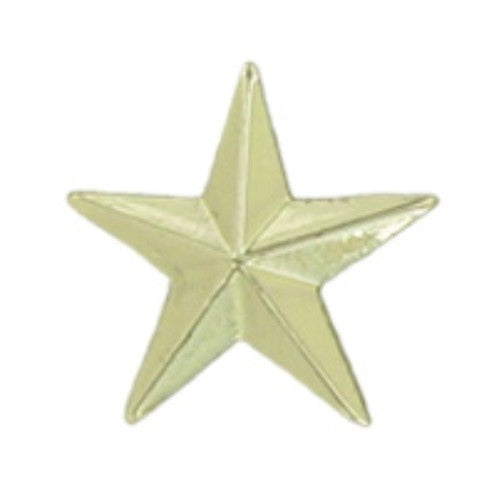Small Gold Star Pin