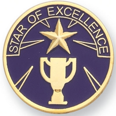 Star of Excellence Pin