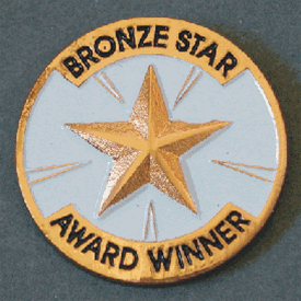 Bronze Star Award Winner Pin - awardshere.com
