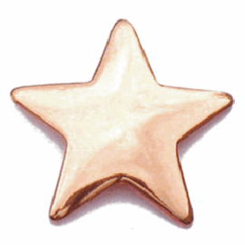 Copper Star Lapel Pin