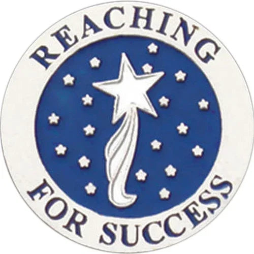 Reaching for Success Pin - awardshere.com