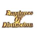 Employee of Distinction Pin - awardshere.com