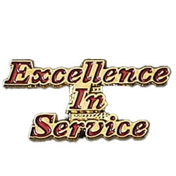 Excellence in Service Pin - awardshere.com