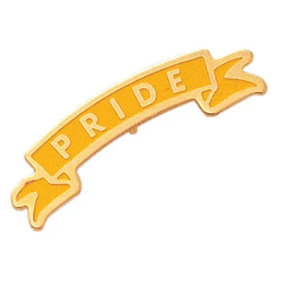 Pride Ribbon Pin - awardshere.com