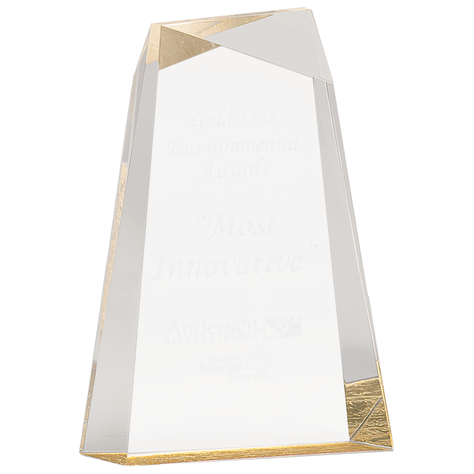 Facet Wedge Acrylic Award