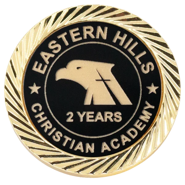 Custom Large Round Lapel Pin