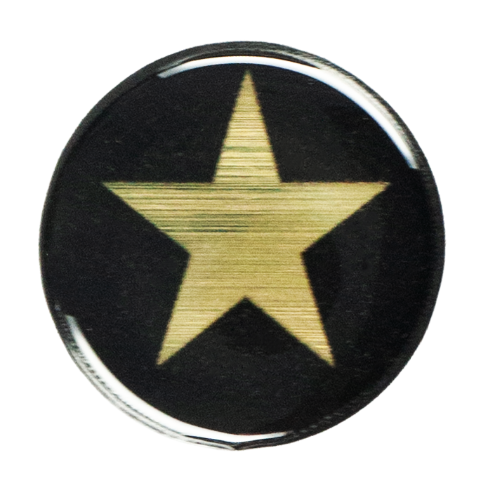 Self Adhesive Gold Star Award