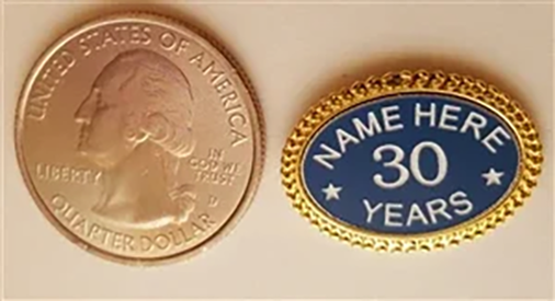 Custom Oval Lapel Pin