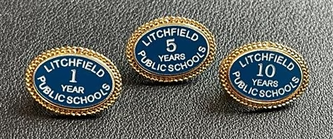 Custom Oval Lapel Pin