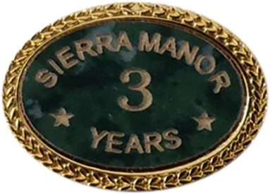 Custom Oval Lapel Pin