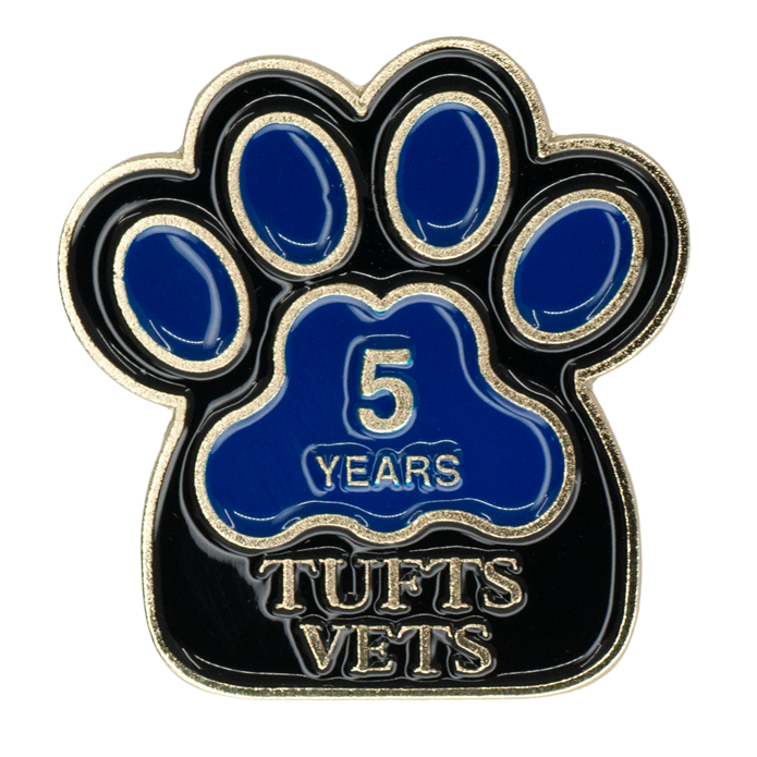 Custom Soft Enamel Lapel Pin