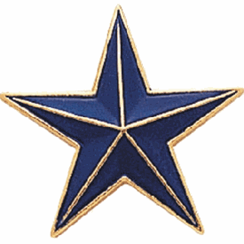 Blue Star Pin