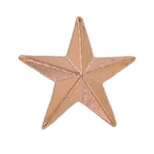 Small Bronze Star Pin