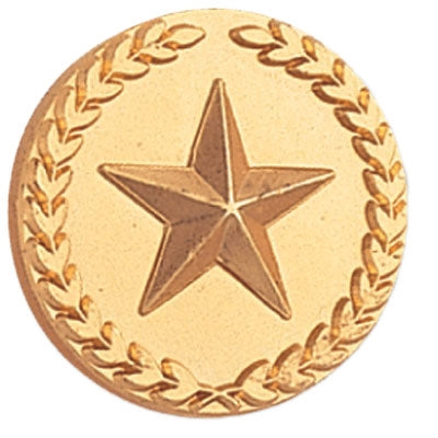 Gold Round Star Pin