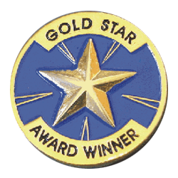Gold Star Award Winner Pin
