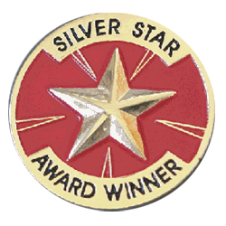 Silver Star Award Winner Pin