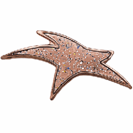 Glitter Bronze Star Pin