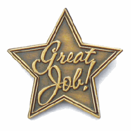 Great Job Star Pin