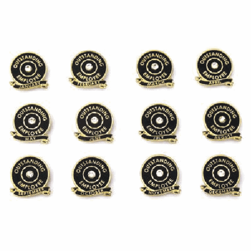 Employee of the Month Lapel Pin Set