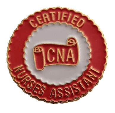 Nurse Pins: CNA Pins, LPN Nursing Pins & Registered Nurse Graduation ...