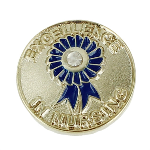 Excellence in Nursing Pin