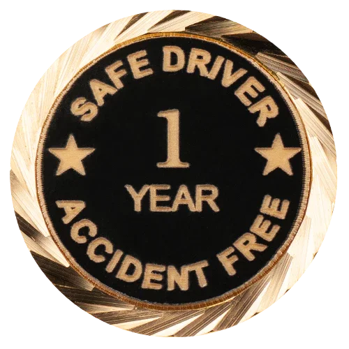 Safety Lapel Pins: Safe Driving Award Pins and Safety Committee Member ...
