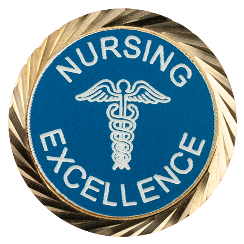 Nursing Excellence Pin