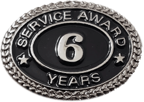 Silver 6 Years Service Award Pin